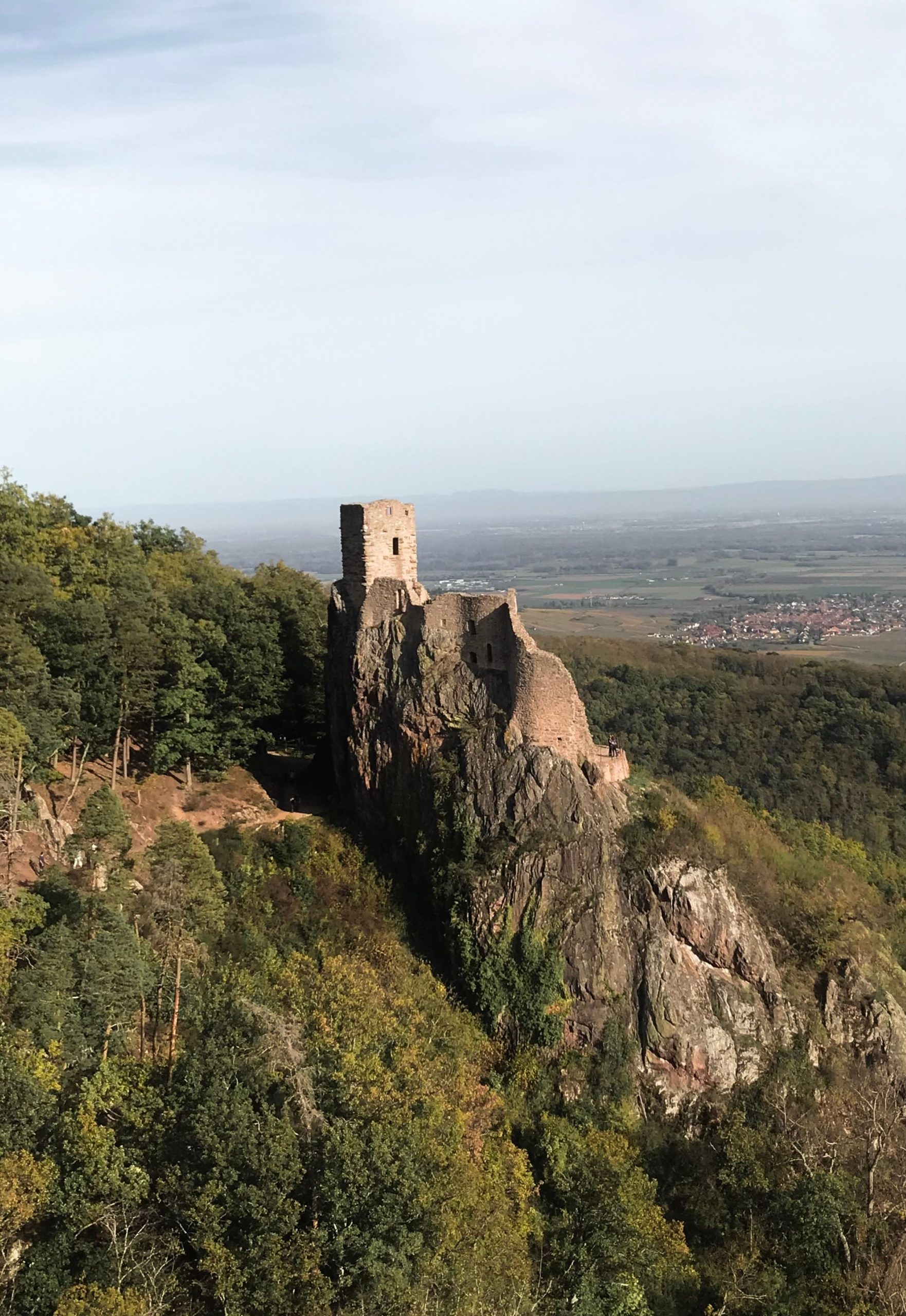Der Mythos lebt auf der Burg Frankenstein